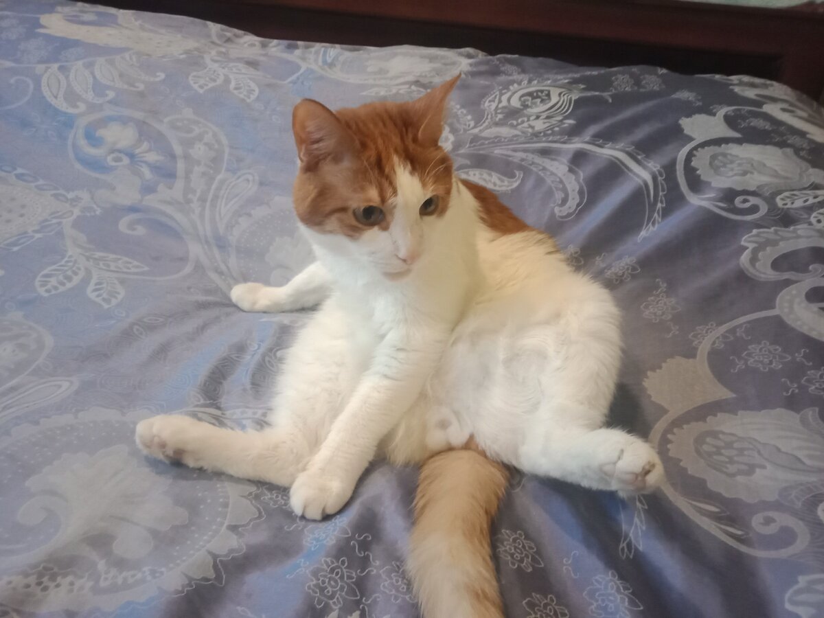 Ванька - предсказатель.