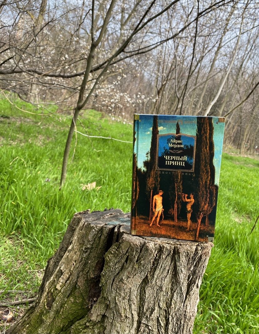 Ухватила в любимой серии