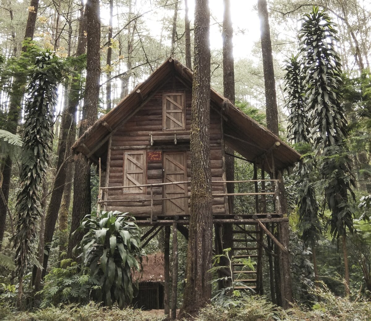 Как сделать лесу дом. Вигвам убежище. Хижина в лесу база отдыха екатеринбург. Шалаш в лесу. Бушкрафт шалаш.