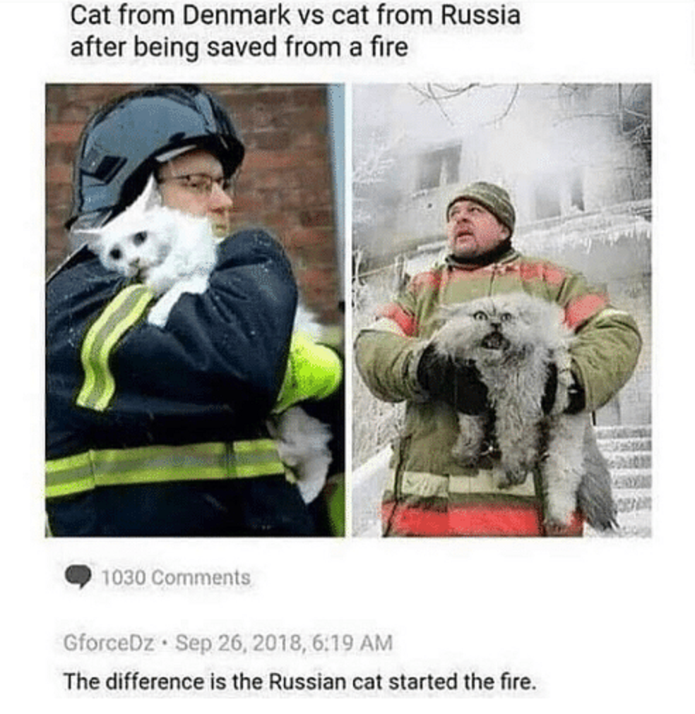 https://conservativememes.com/i/cat-from-denmark-vs-cat-from-russia-after-being-saved-a9c53649b0124a78bd5a29f8f0d3cfd5