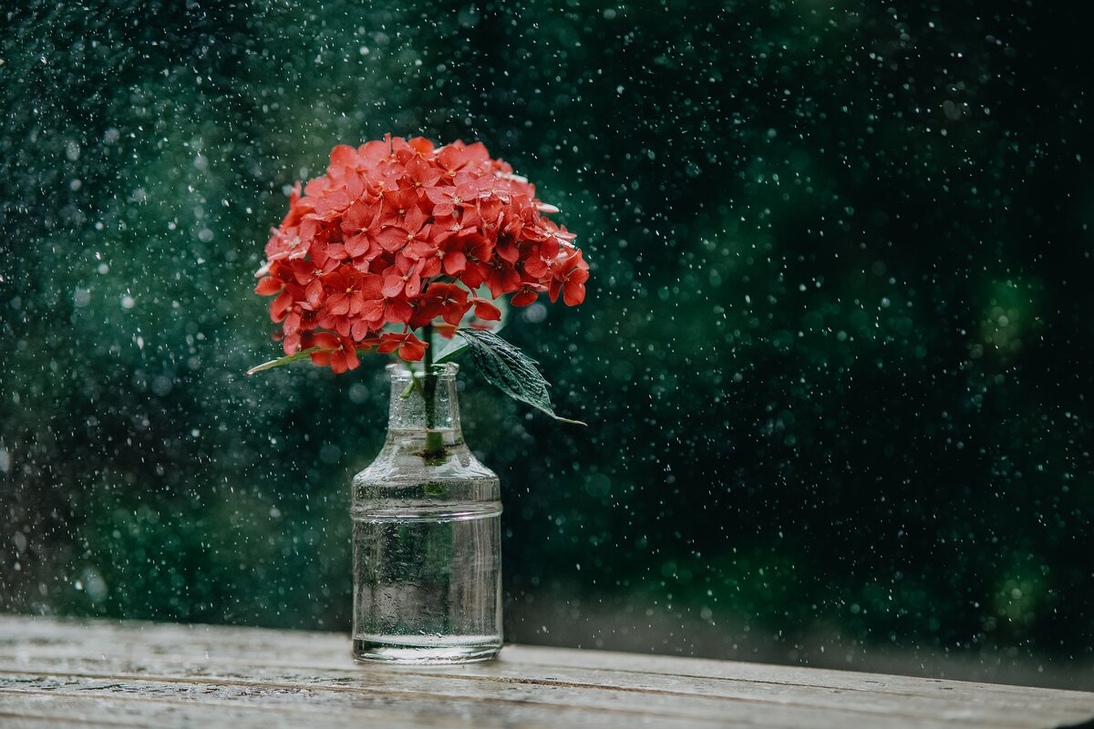 Изображение взято с Pixabay 