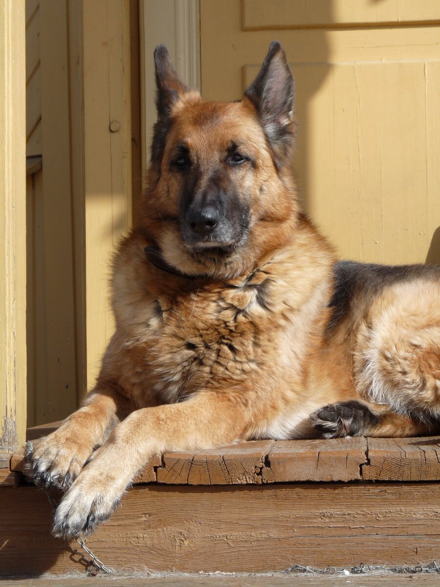 Фото из семейного архива автора