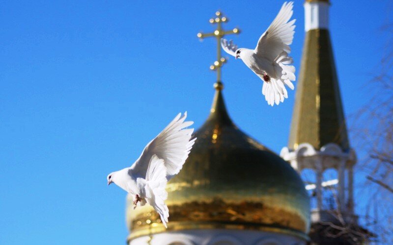 Фото: Яндекс.Картинки