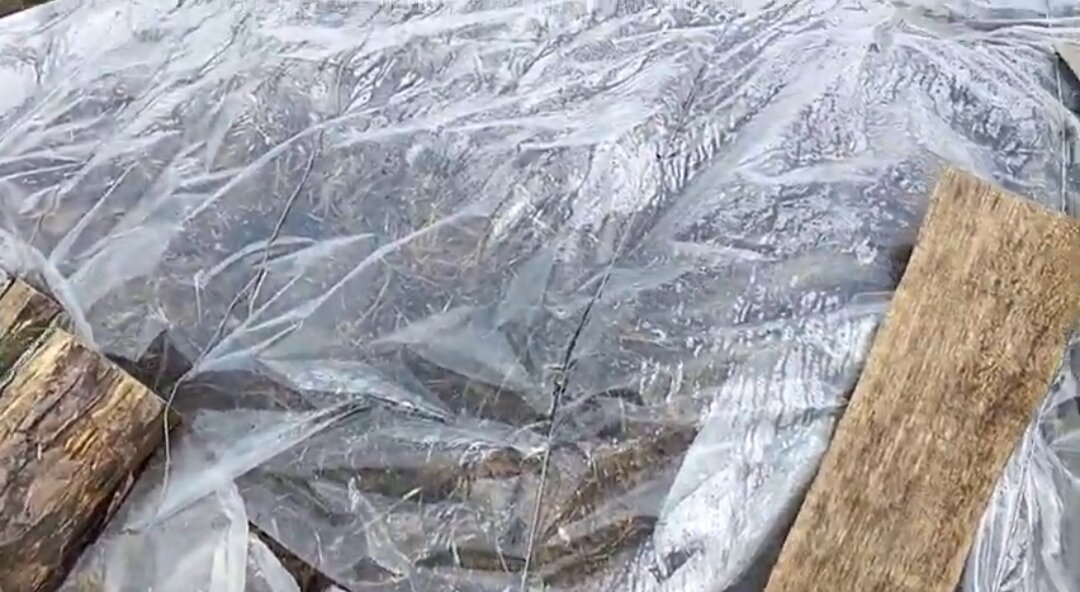 Укрытая куча навоза.