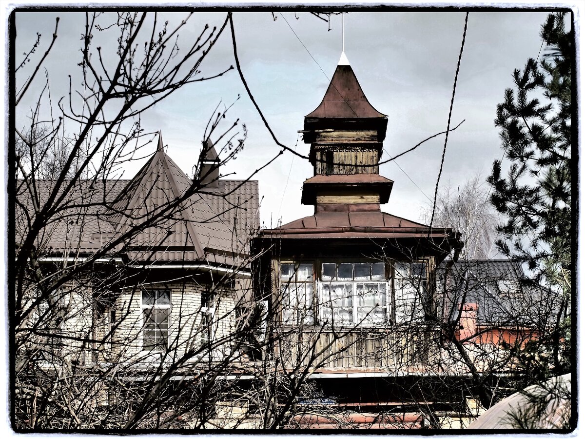 Фото автора