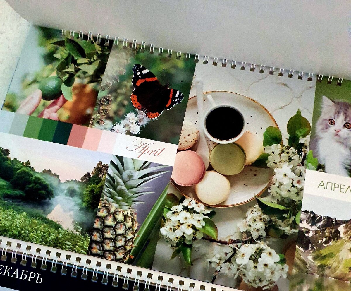 Мой настенный календарь для записей.❗❗Все материалы канала имеют исключительно ознакомительный характер. Прежде чем принять любые решения по поводу лечения, изменения питания и образа жизни, проконсультируйтесь с лечащим врачом❗❗