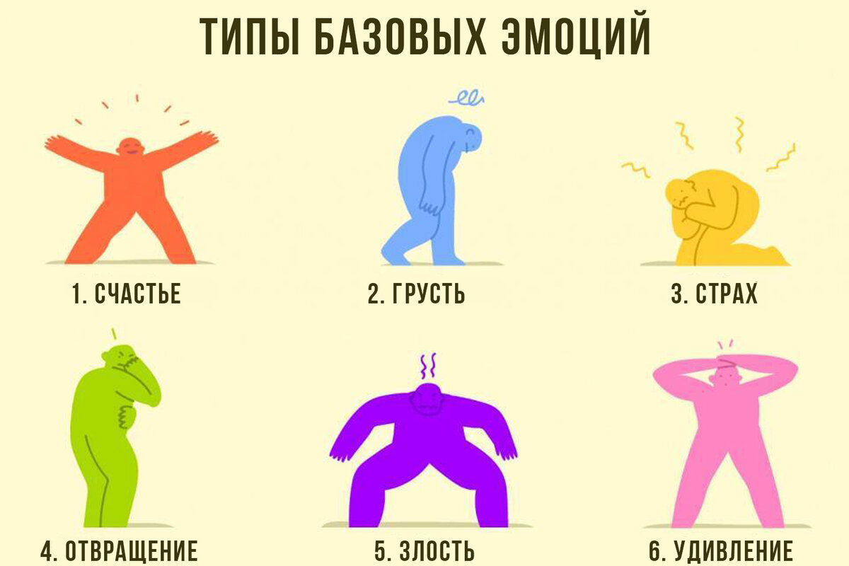 Шесть типов основных эмоций и их влияние на поведение человека