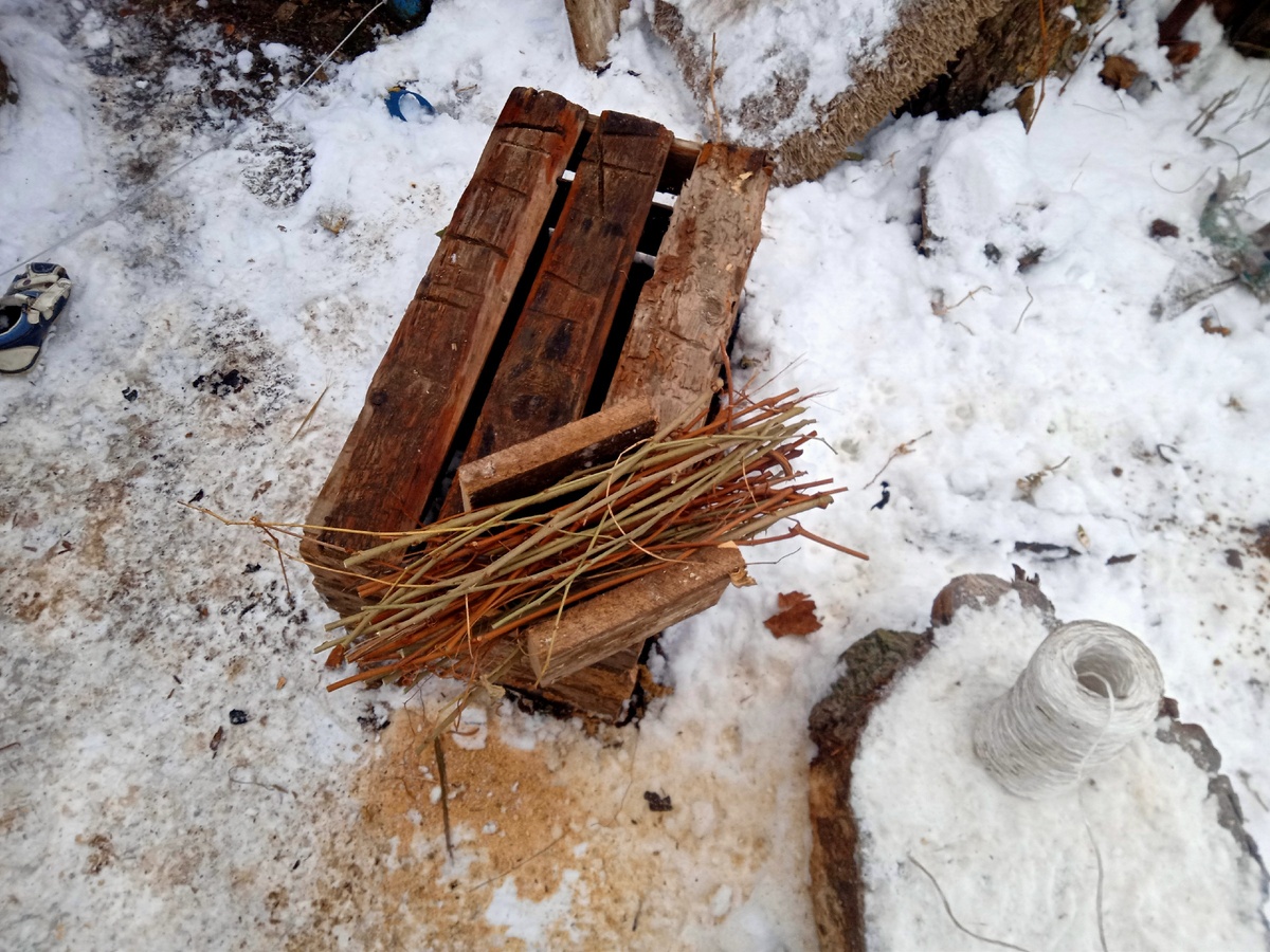 первая попытка в процессе