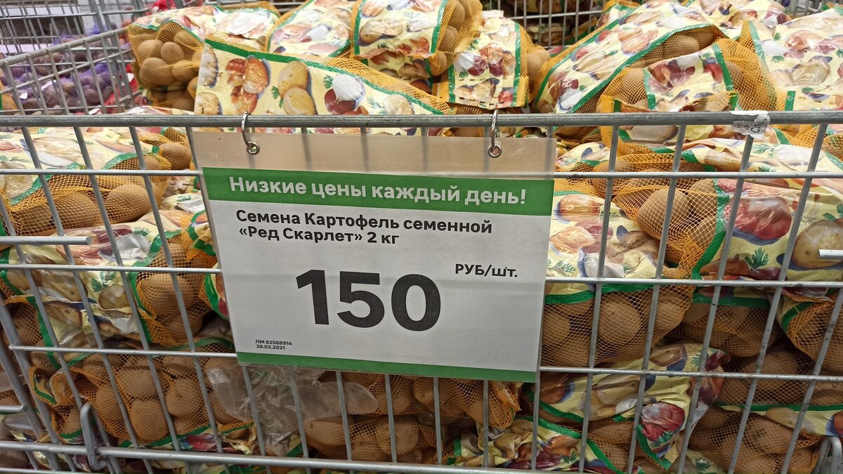 Фотография из личного архива