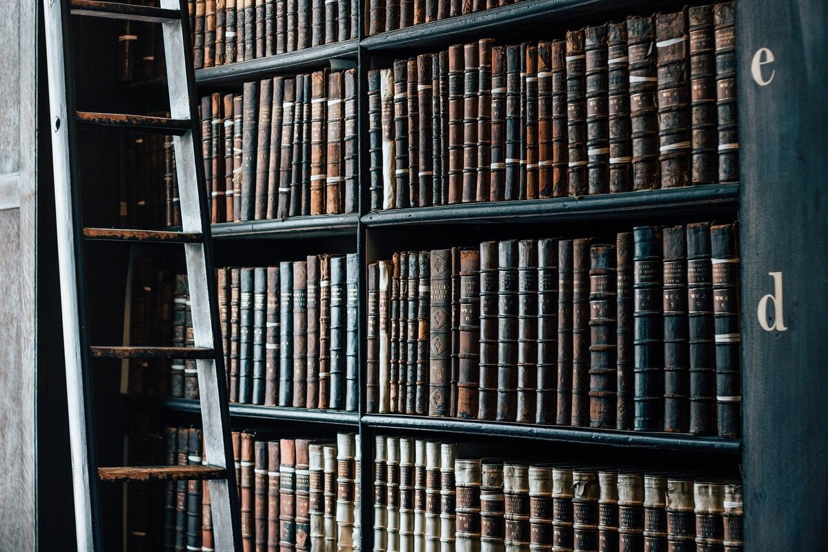 Фото находится в открытом доступе и взято с сайта pixabay.com