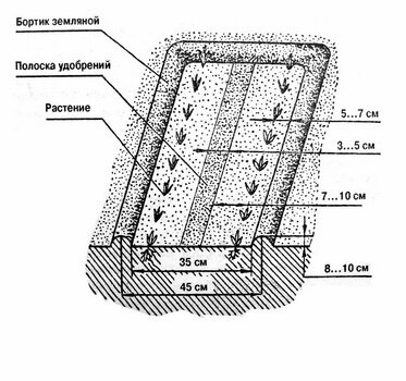 Схема посадки картофеля по Митлайдеру