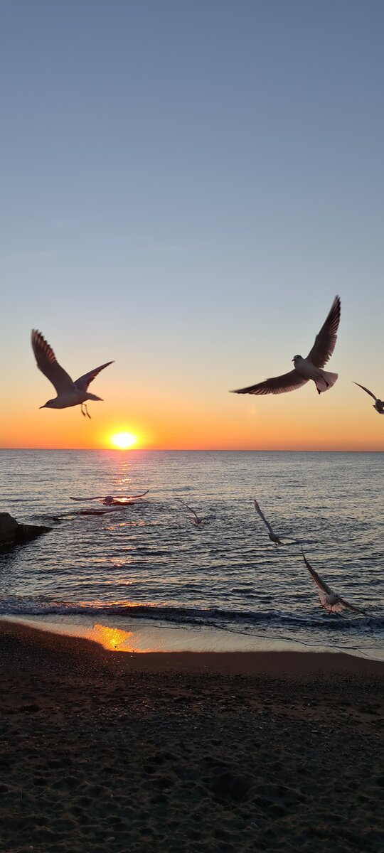 Фото на закате Сочи