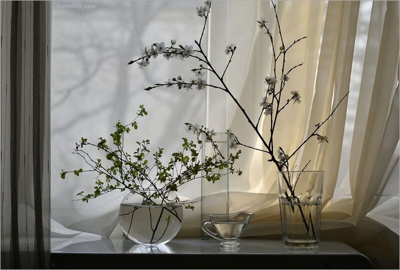 Pinterest.com
