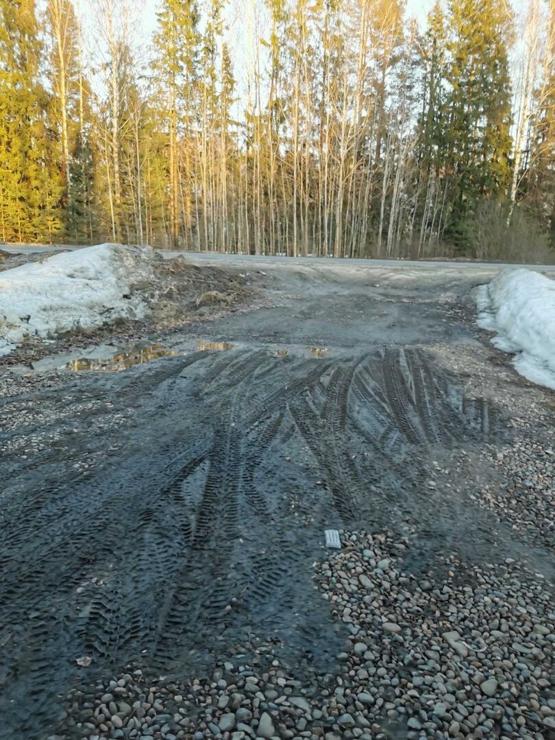 Приехал я на дачу не только для того чтобы посмотреть насколько растаял снег, но и для того чтобы посмотреть сколько еще предстоит работы по спилу деревьев и кустов на новом участке.-1-2