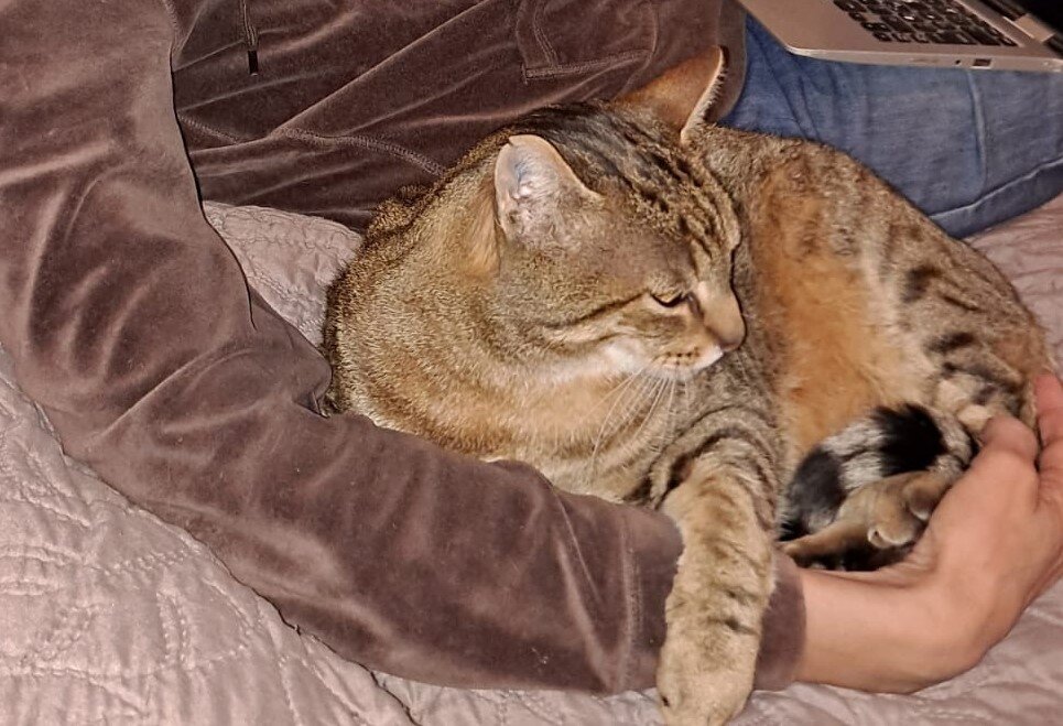 Фото автора