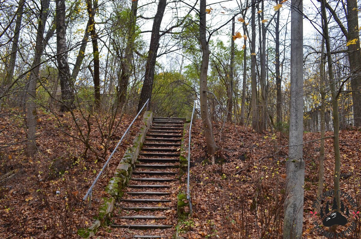фото " Когда то...."  снято в окрестностях поселка Беляная Гора,Рузского района ,Московской области.  