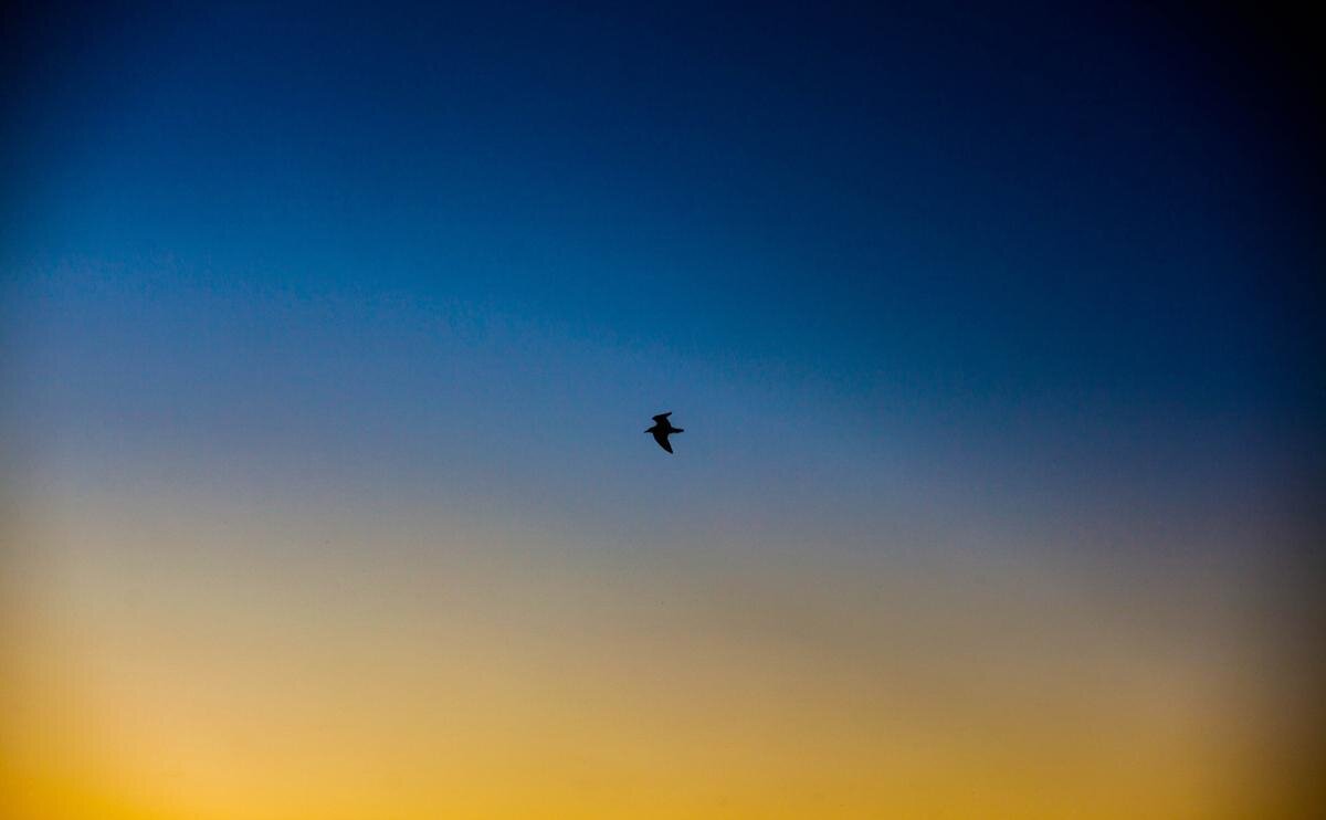  Image: Maxim Tulenev 