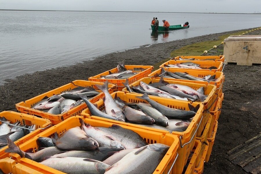 Источник: интернет 