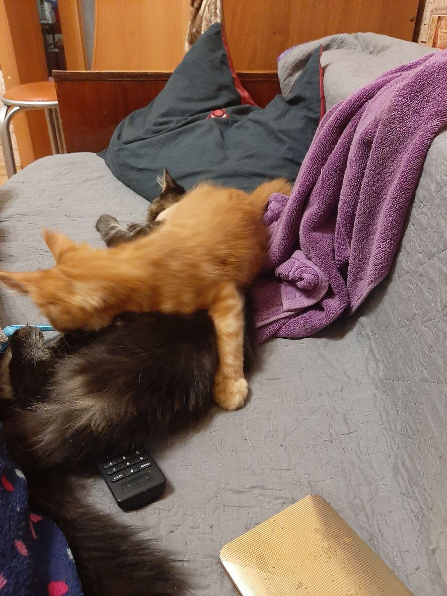 'Не фиг спать! Давай играть!'