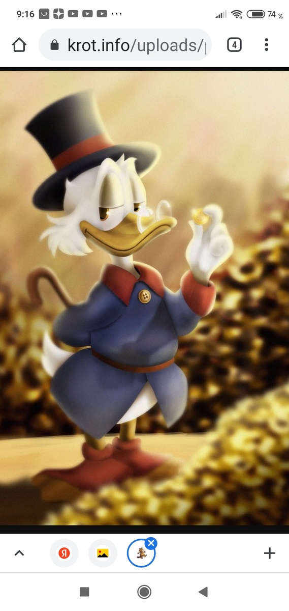 Изображение из интернета.