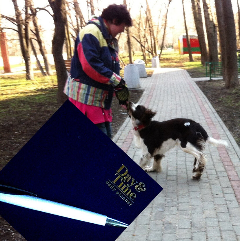 Я решила развиваться дальше