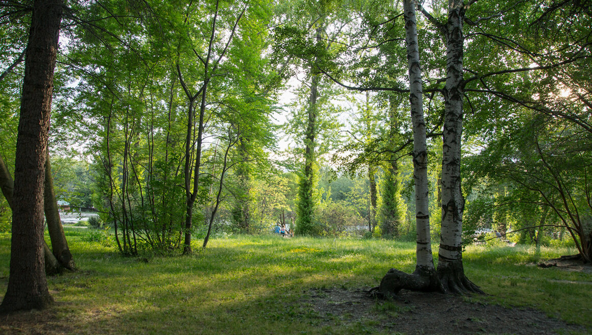 Основная проблема в области климатического регулирования — это баланс эмиссии и стоков углерода. Фото: Илья Сафаров,  медиацентр УрФУ