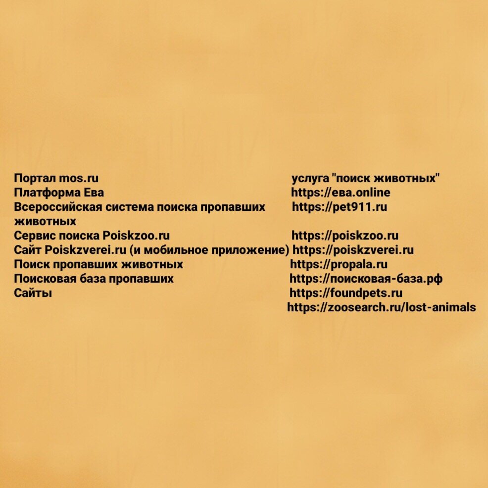 Сохраните, чтобы не потерять!