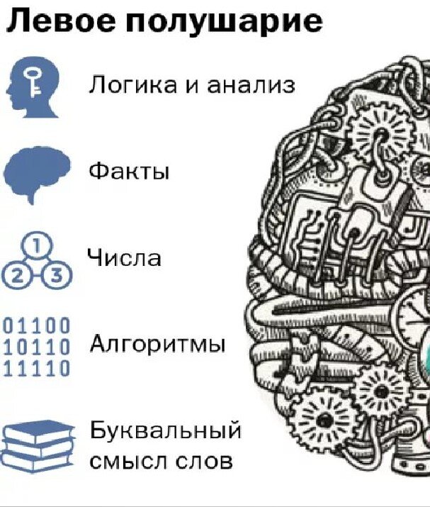 Картинка из интернета