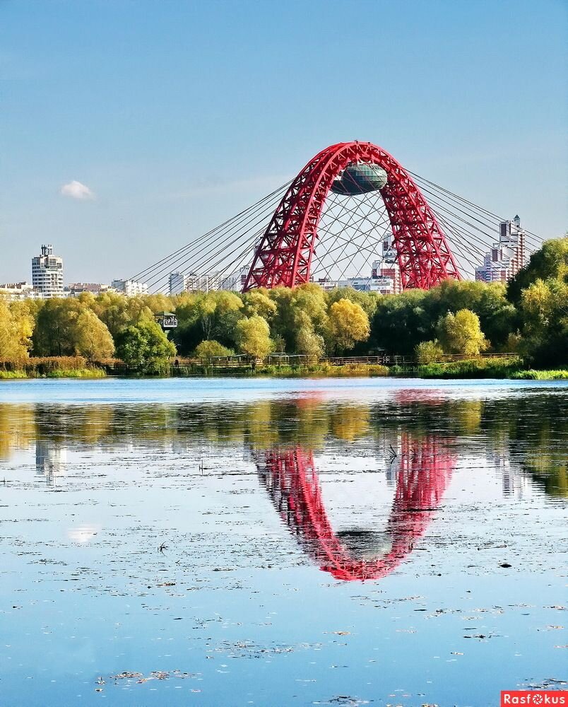 Топ мест Москвы, где разрешено жарить шашлыки | Московский Политех | Дзен