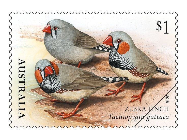 Марка с изображением зебровых амадин
