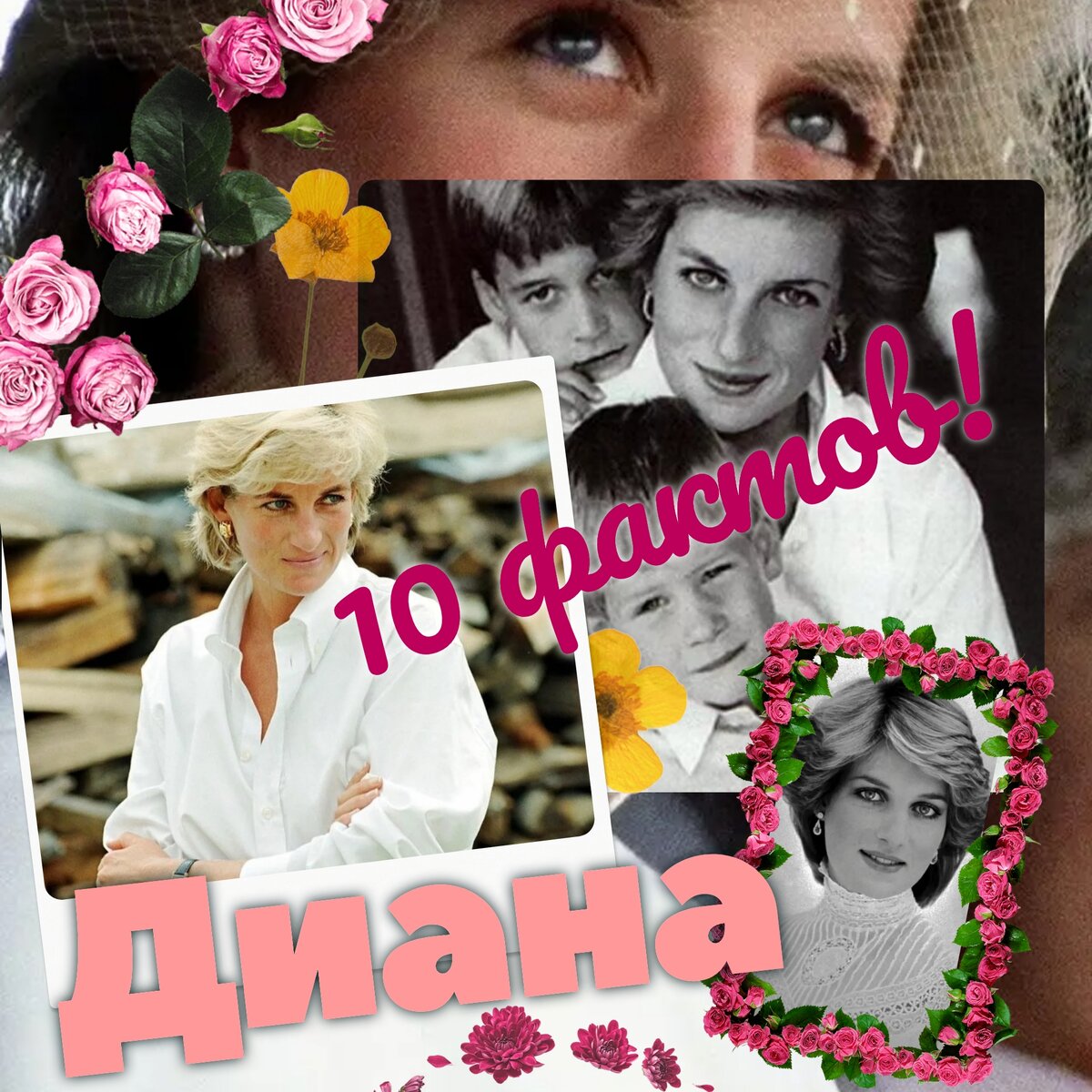 Коллаж автора канала. 