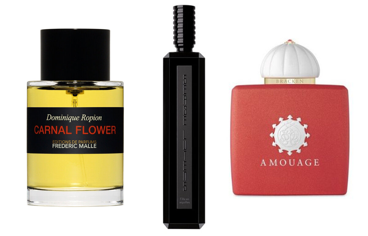 Средства от клопов в квартире. Запах лаванды описание. Средство от потливости подмышек. Какой запах самый сильный. Какой запах самый сильный.