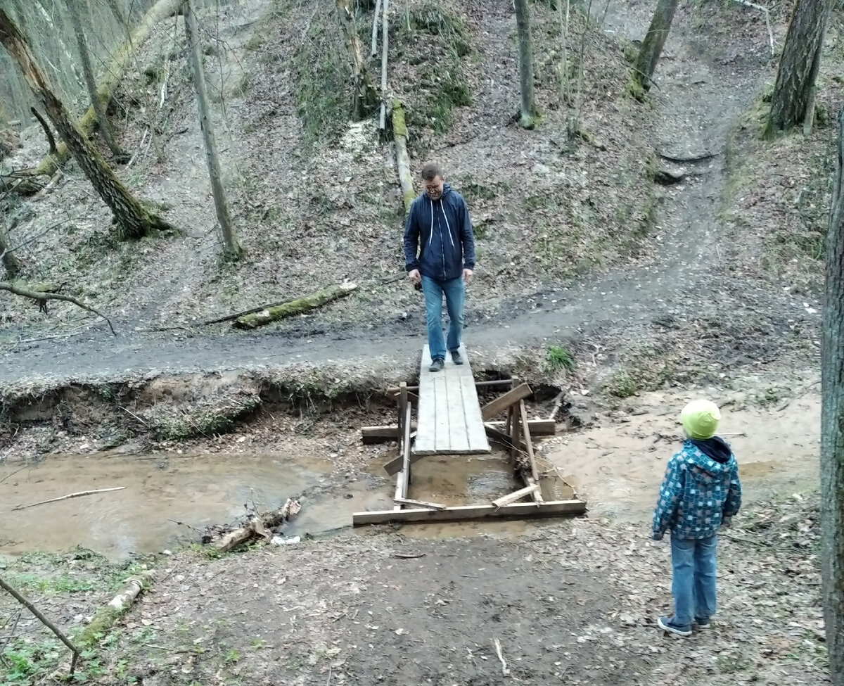 Во такой у нас лесок. Все в оврагах и крутых склонах