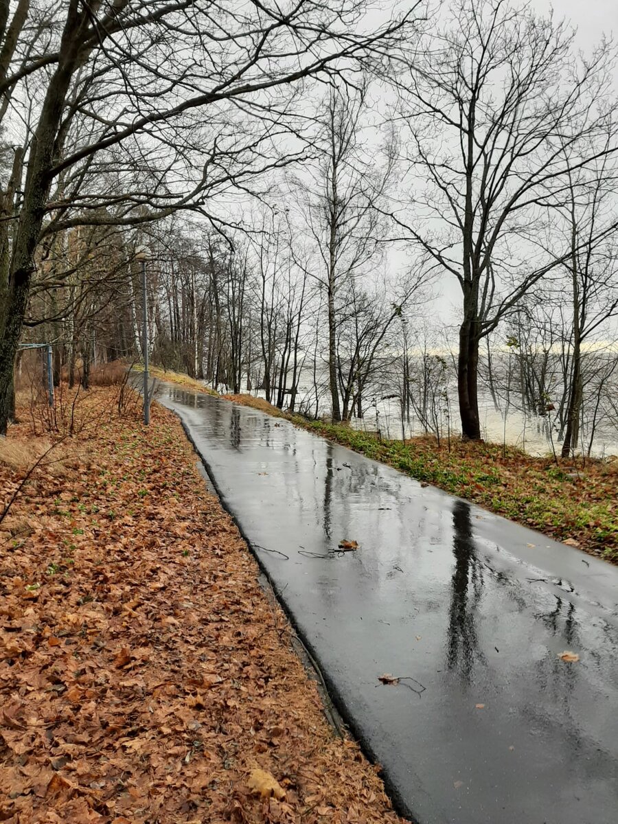 осень кончалась, приближалась зима