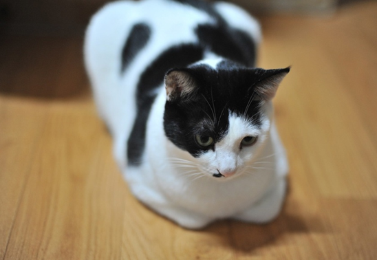 Фото взято с бесплатного фотостока