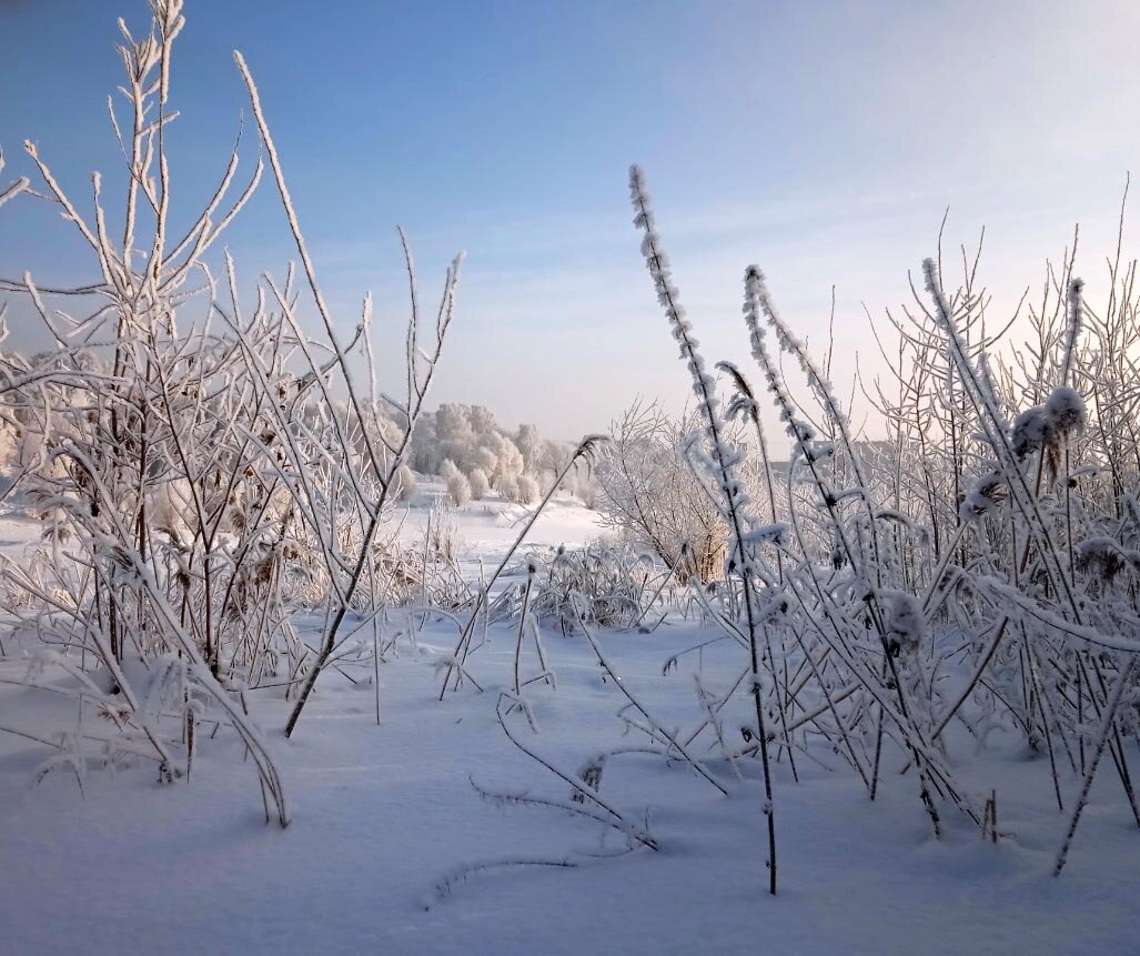 Катались на лыжах: зима просто сказочная!!!