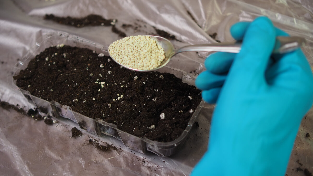 Цеолит для грунта!