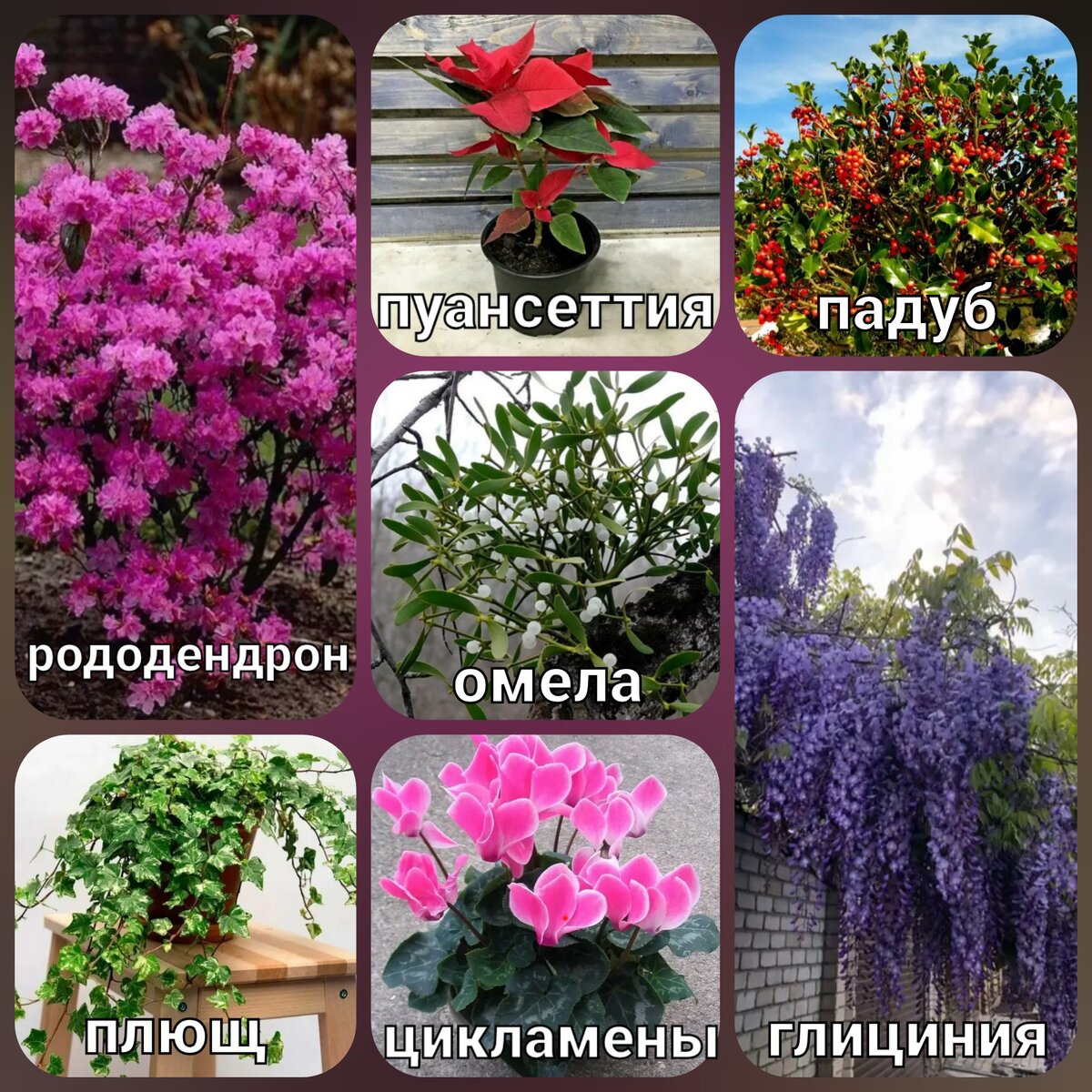 Фото из открытых источников 
