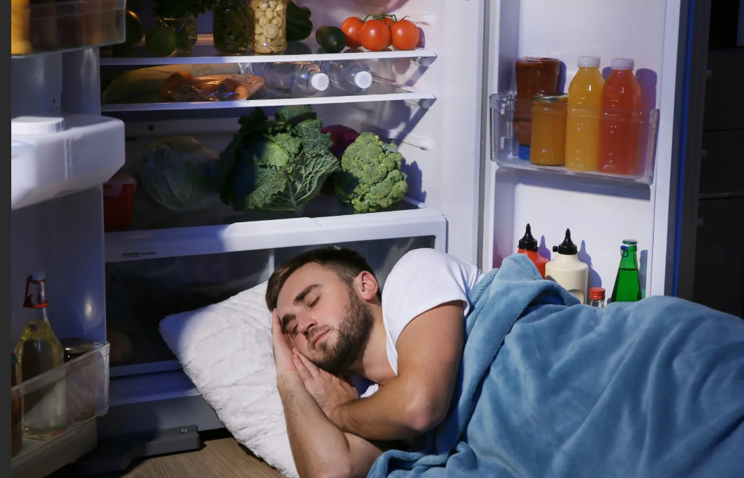 Охраняет холодильник