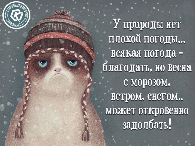 Картинки про холодную весну с надписями прикольные
