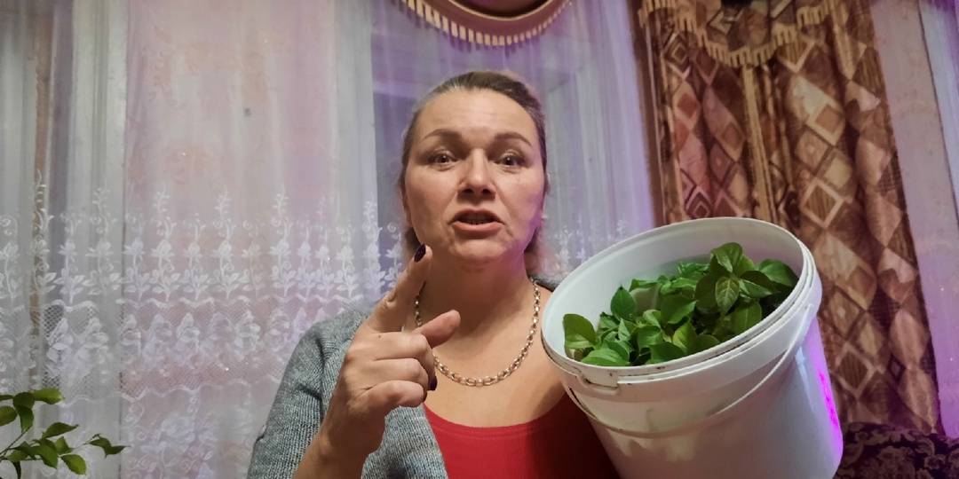 Самое важное для БУГЕНВИЛИИ