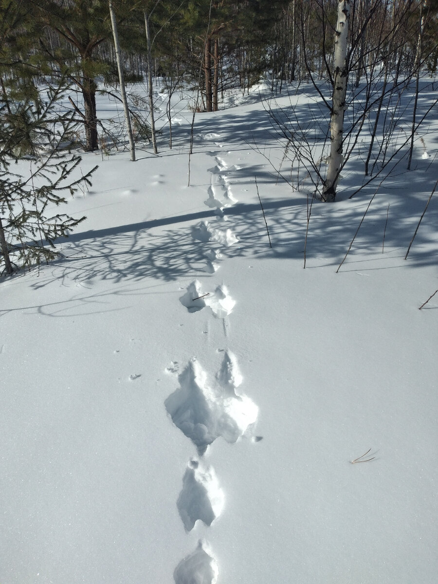 Я вижу небо- в нем тишина...