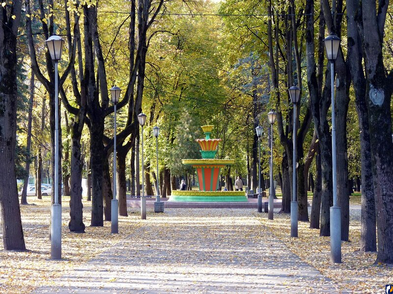 Летний сад псков фото