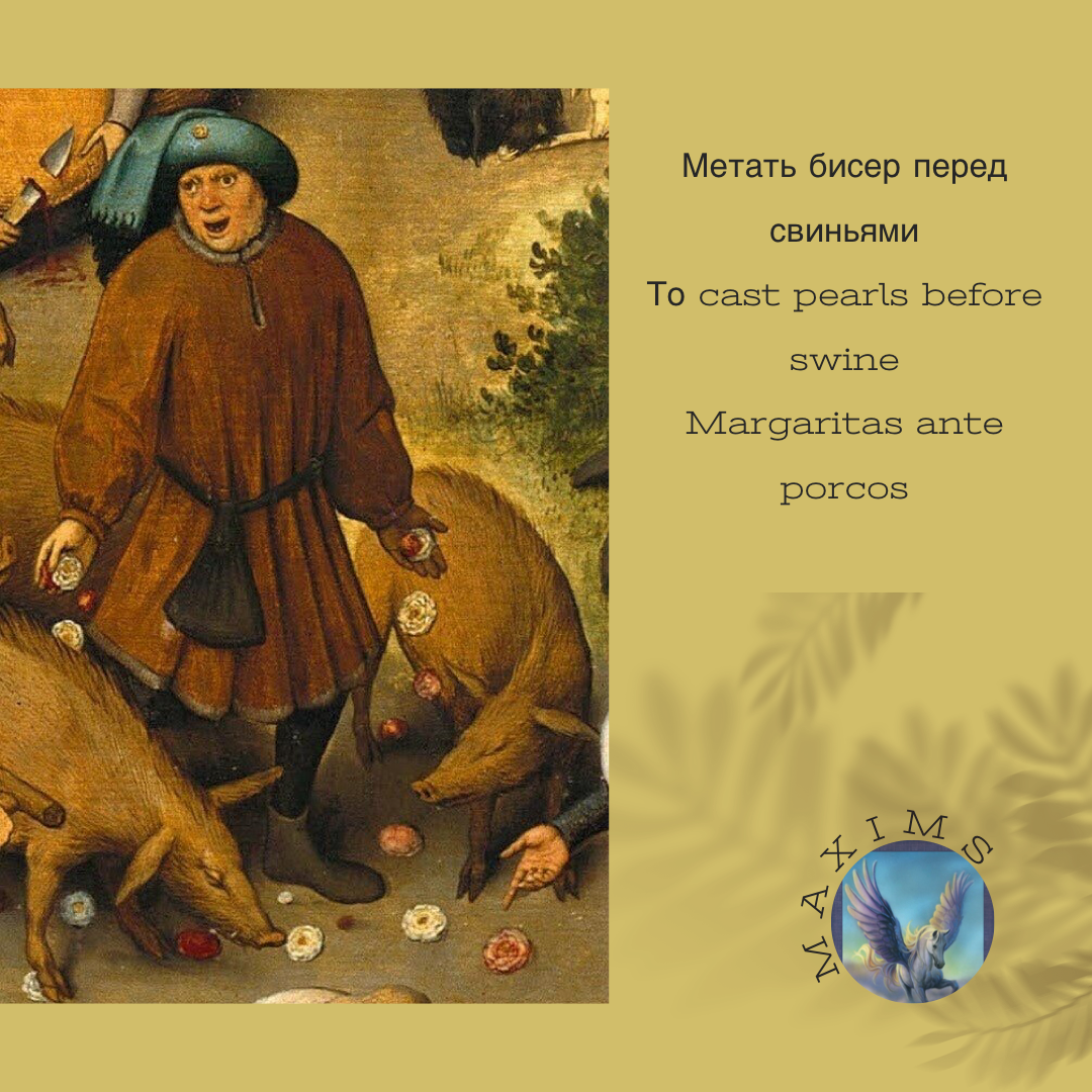 Фразеологизмы метать бисер перед свиньями. Метать бисер перед.свиньями. Метать бисер. Бисер перед свиньями. Метать бисер перед.свиньями происхождение