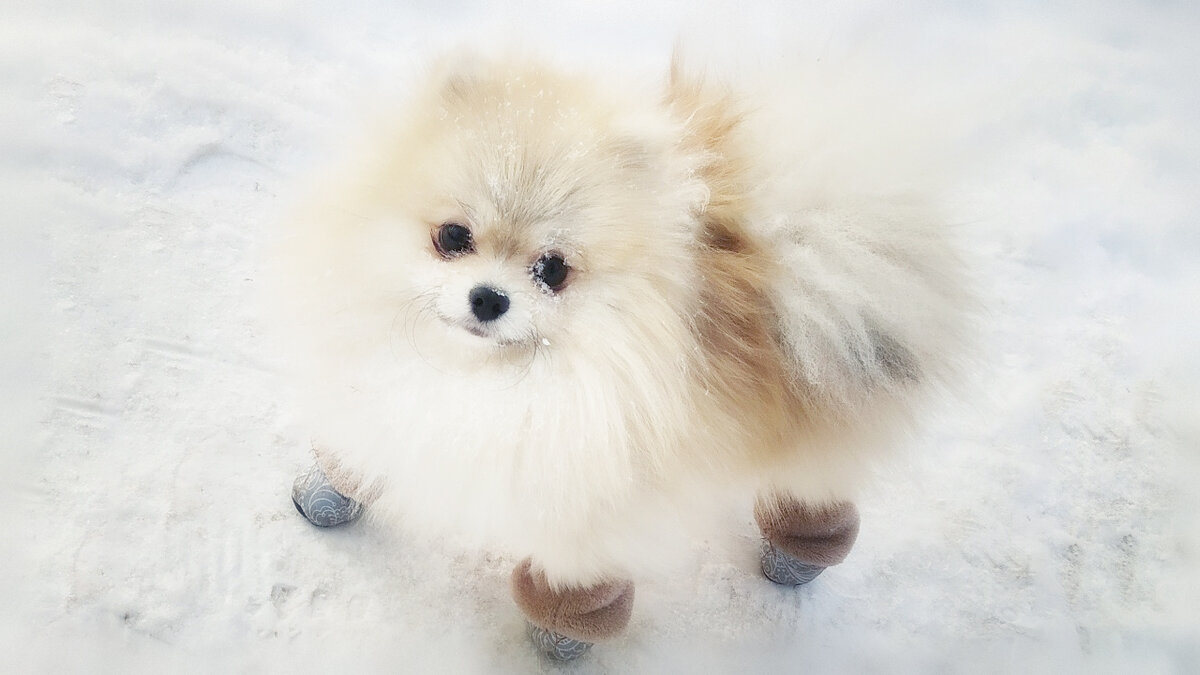 Мой любимый Зайчик в сапожках ❤️❤️❤️