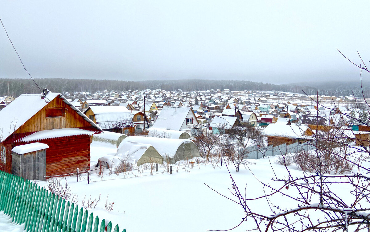 В садовом некоммерческом товариществе «Надежда» 362 участка. Из 347 садоводов «Надежды» членами СНТ являются 197 человек (56,7 %), индивидуальными собственниками – 100 человек. Остальные – пока без статуса