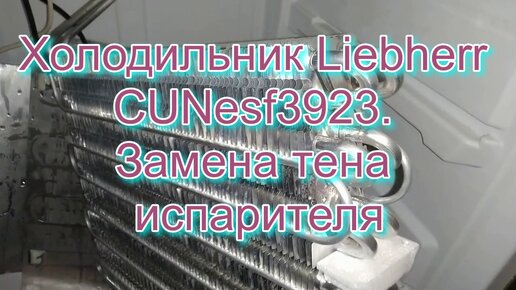 Ремонт холодильников Бирюса в Санкт-Петербурге - 