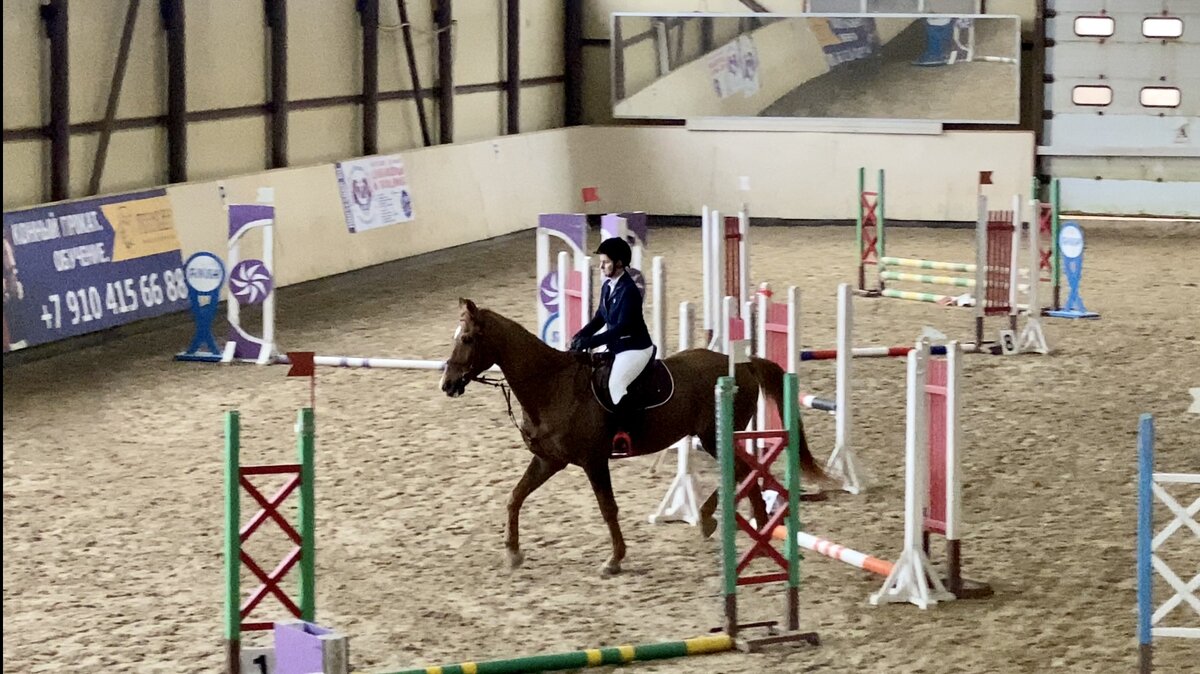 И 6-е на второй лошади. Для первого раза отличный результат 😊