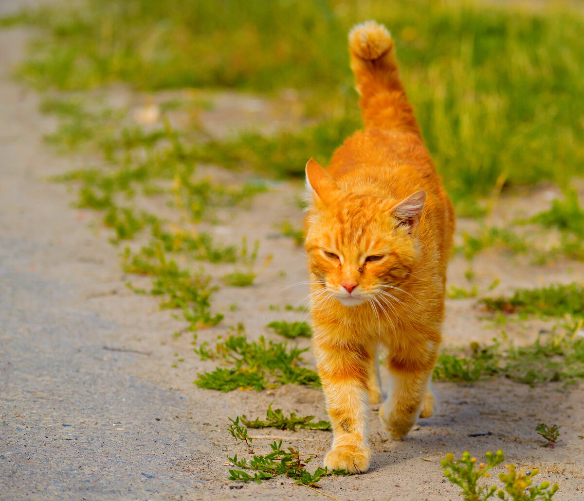 Фото из интернета