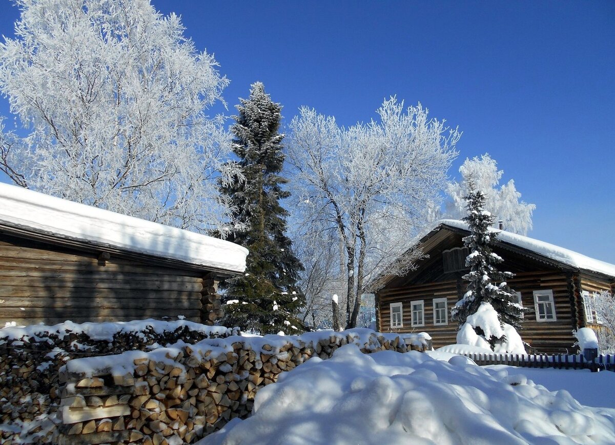 Фото: Николай Туркин 